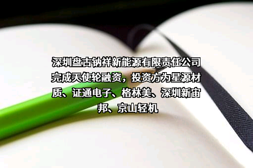 深圳盘古钠祥新能源有限责任公司