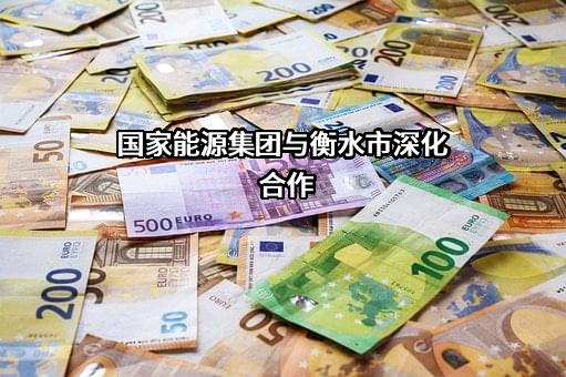 国家能源投资集团有限责任公司