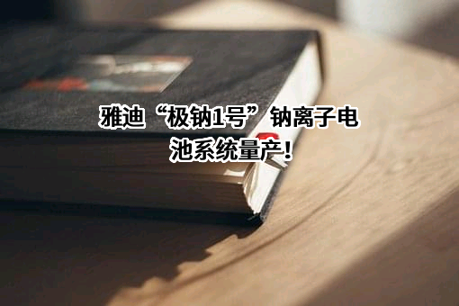 浙江钠创新能源有限公司