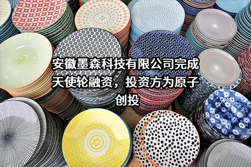 安徽墨森科技有限公司