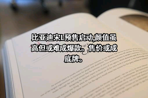 比亚迪股份有限公司