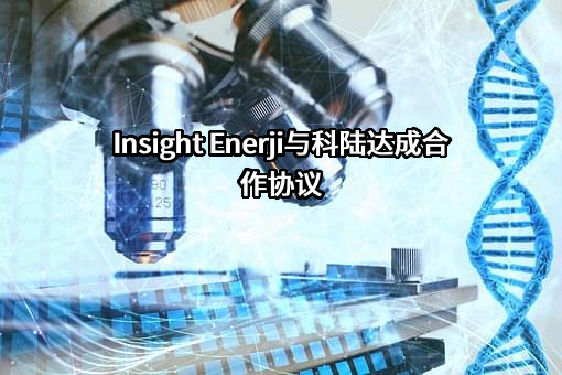 深圳市科陆电子科技股份有限公司