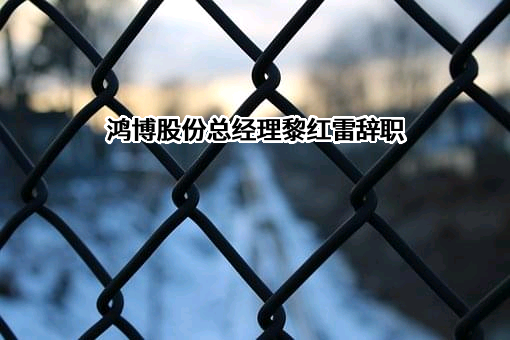 鸿博股份有限公司