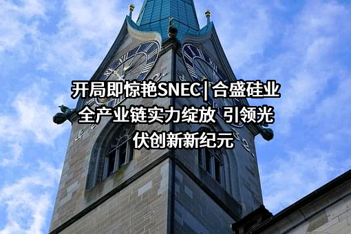合盛硅业股份有限公司