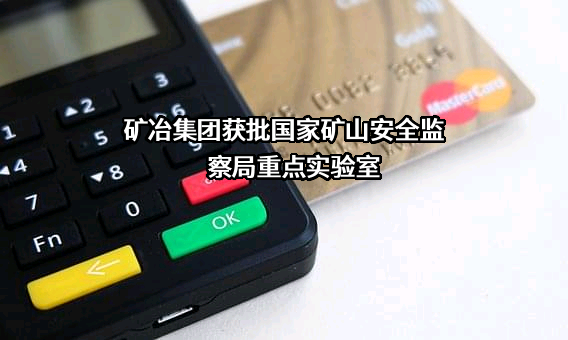 云南省武定县矿冶集团总公司