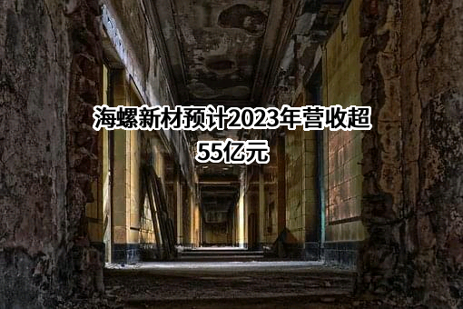 海螺（安徽）节能环保新材料股份有限公司