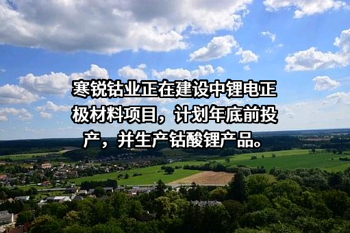 南京寒锐钴业股份有限公司