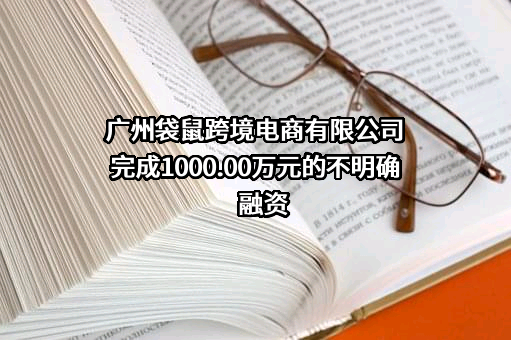 广州袋鼠跨境电商有限公司完成1000.00万元的不明确融资