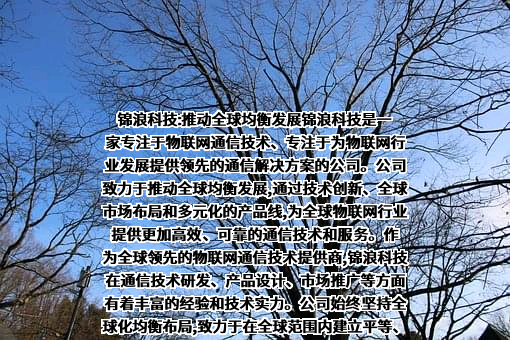 锦浪科技股份有限公司