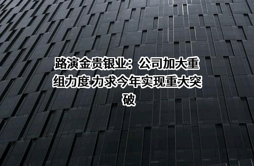郴州市金贵银业股份有限公司