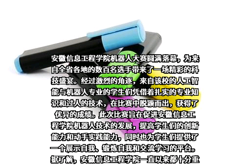 安徽信息工程学院
