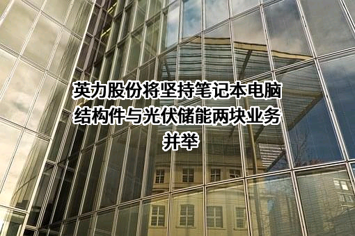 安徽英力电子科技股份有限公司