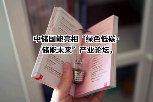 中储国能（北京）技术有限公司