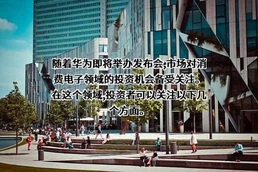 华为技术有限公司