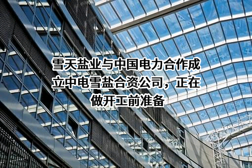 湖南雪天盐业技术开发有限公司