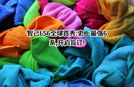 智己汽车科技有限公司