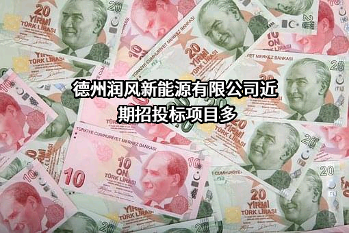德州润风新能源有限公司