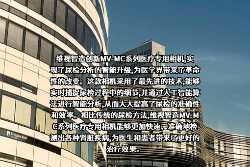 广西维视智造科技有限公司