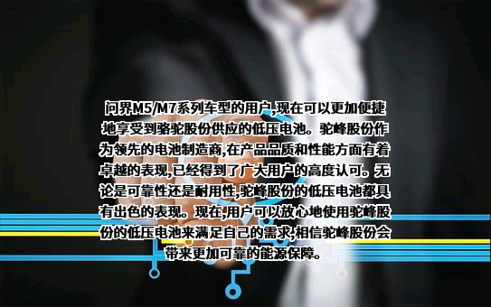 骆驼集团股份有限公司