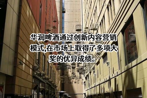 华润啤酒（控股）有限公司