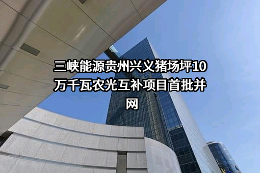 中国三峡新能源（集团）股份有限公司