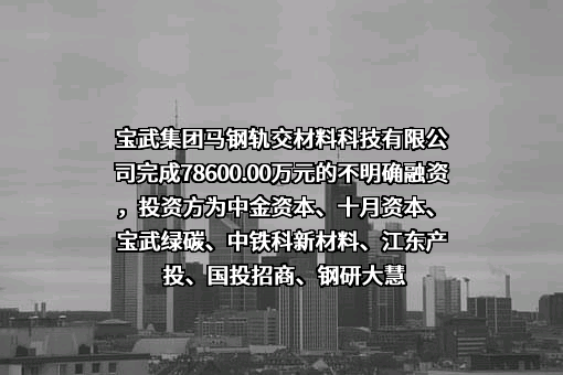 宝武集团马钢轨交材料科技有限公司