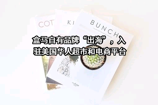 上海盒马网络科技有限公司