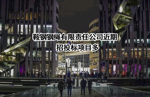 鞍钢钢绳有限责任公司
