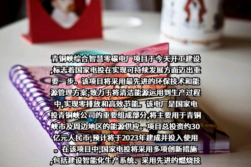 国家电力投资集团有限公司
