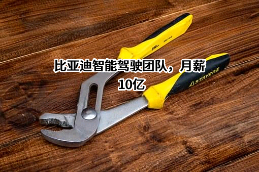 比亚迪股份有限公司