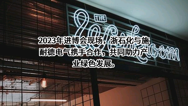 施耐德电气（中国）有限公司