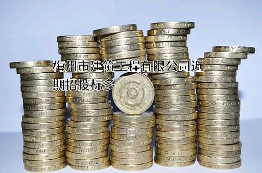 梅州市建筑工程有限公司近期招投标项目多