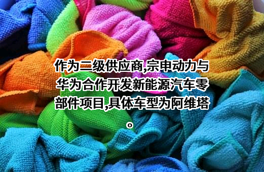 华为技术有限公司