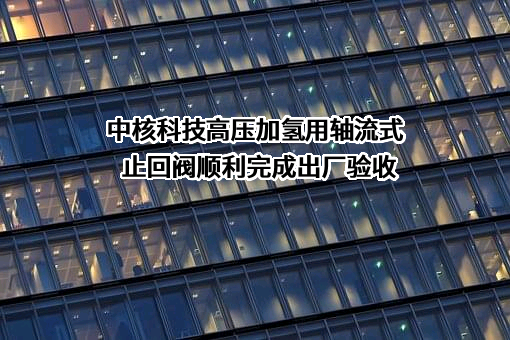 中核苏阀科技实业股份有限公司