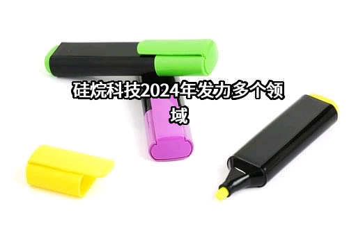 河南硅烷科技发展股份有限公司