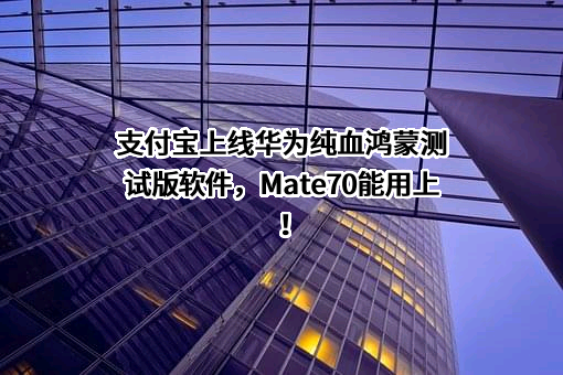 支付宝（中国）网络技术有限公司
