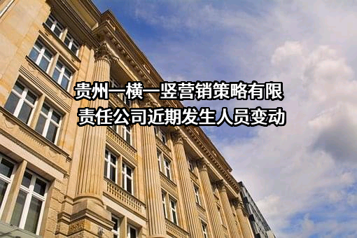 贵州一横一竖营销策略有限责任公司