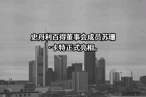 史丹利百得公司