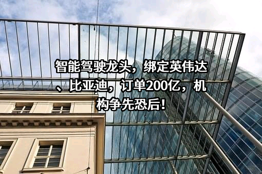 比亚迪股份有限公司