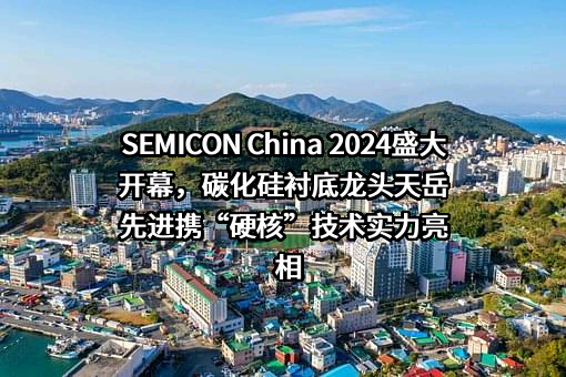 山东天岳先进科技股份有限公司