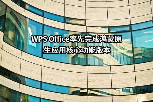 华为技术有限公司