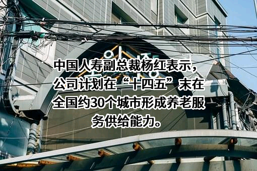 中国人寿保险（集团）公司