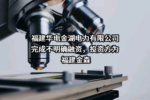 福建华电金湖电力有限公司