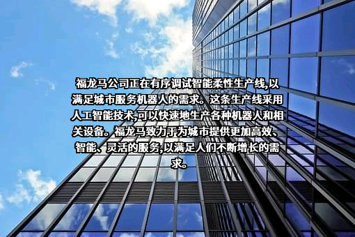 福龙马集团股份有限公司