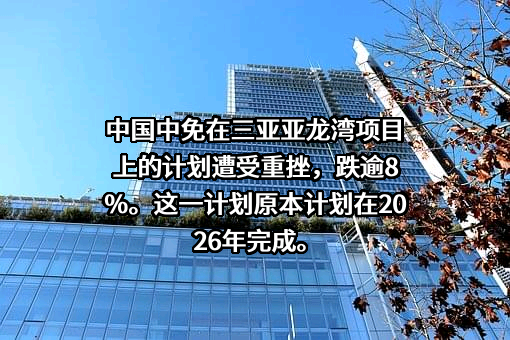 中国旅游集团中免股份有限公司
