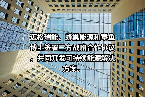 章鱼博士智能技术（上海）有限公司