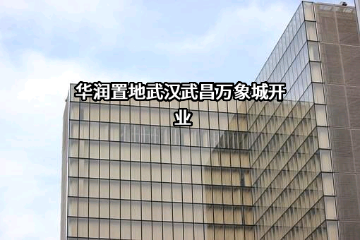 华润置地有限责任公司