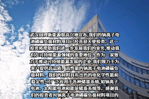 武汉固理新能源科技有限公司