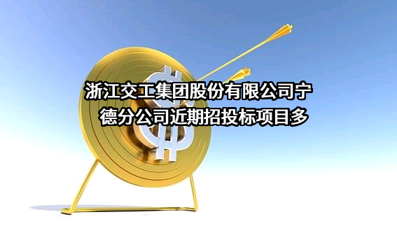 浙江交工集团股份有限公司宁德分公司近期招投标项目多