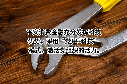 平安消费金融有限公司